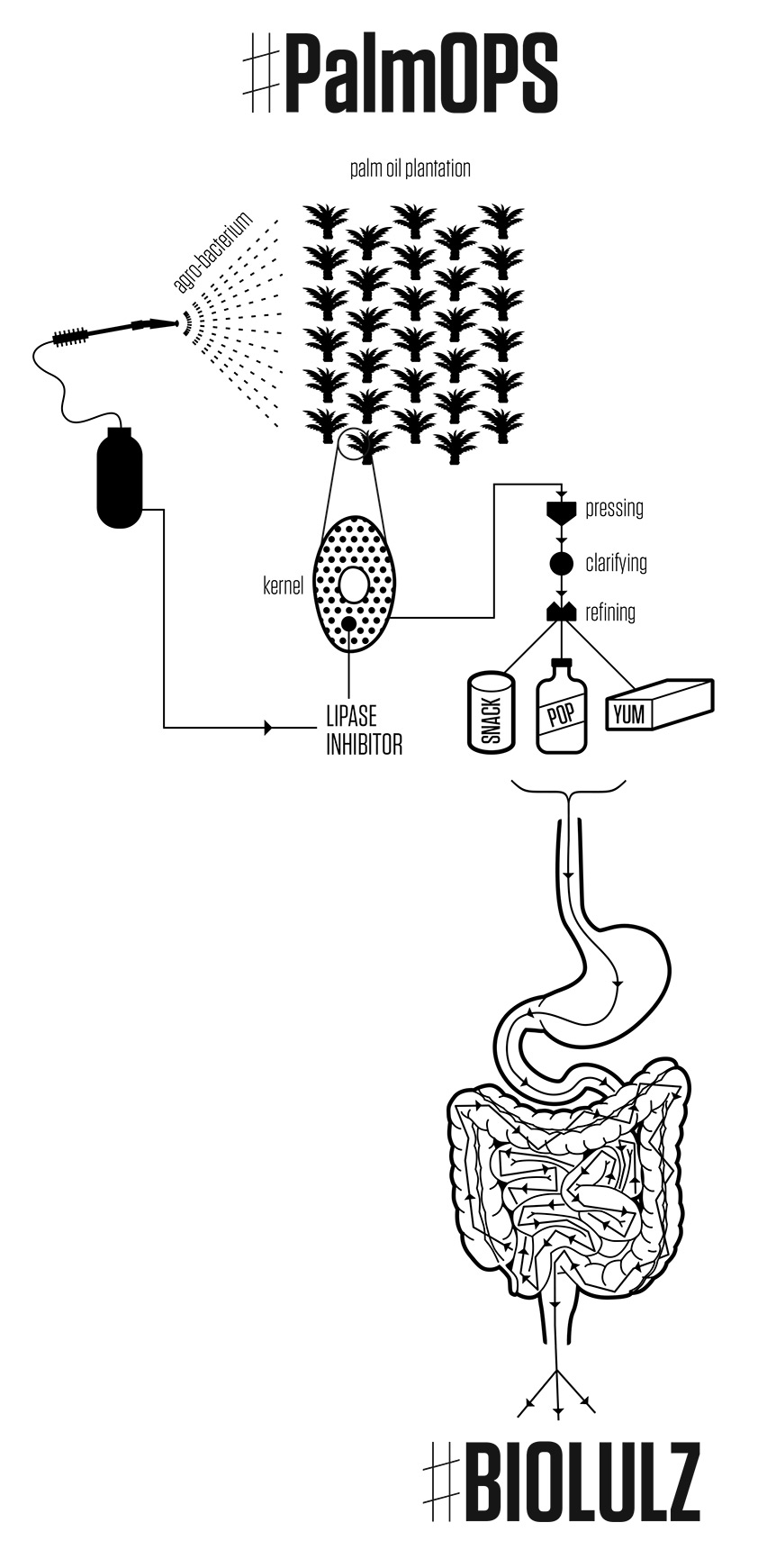 PalmOps-process