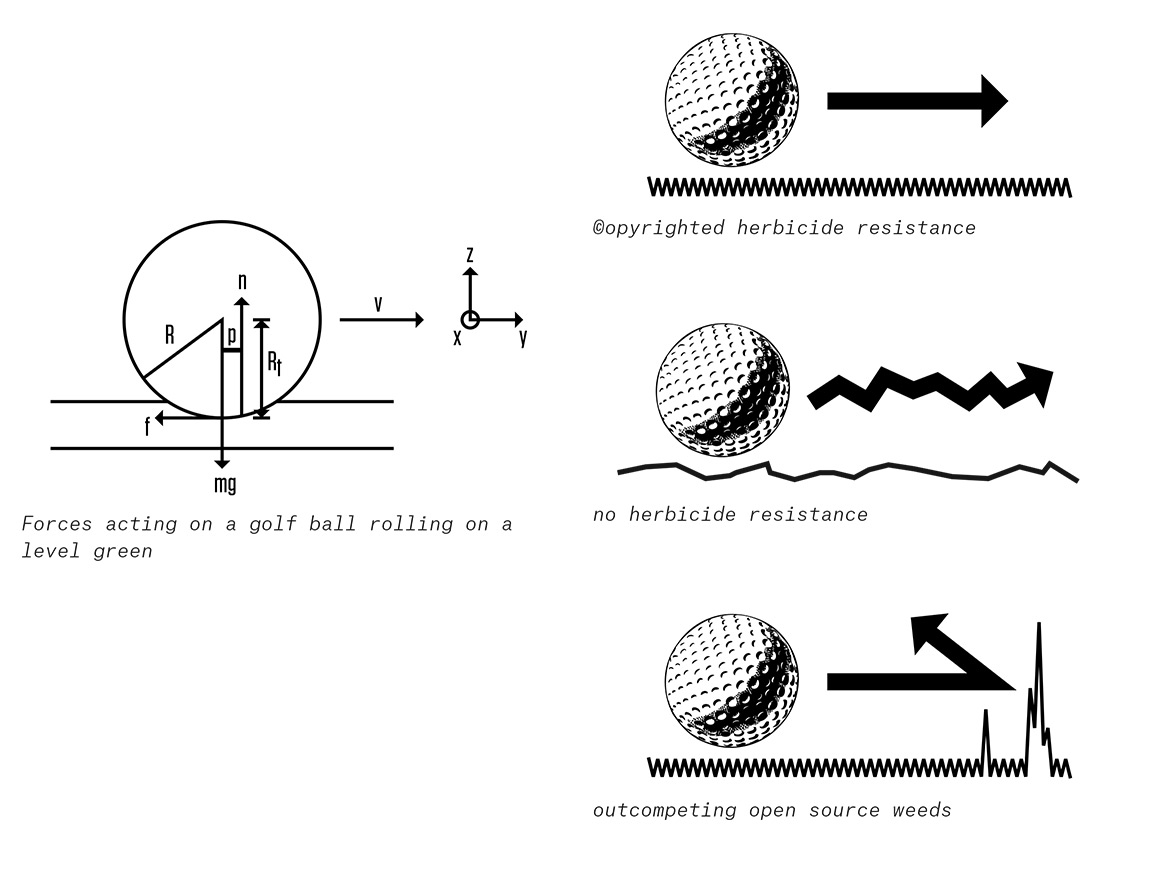 PollenClub-golf